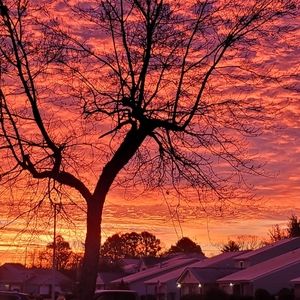 Meet your Posher, Ro